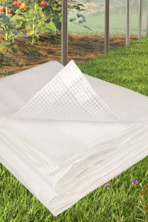 Must-Have Bâche armée transparente 8x12 m renforcée