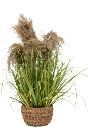 Plante artificielle en pot "Maxime" Prix Cassé