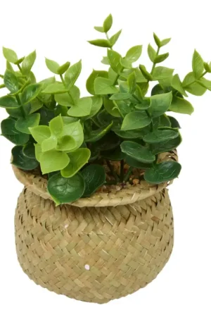 Meilleur Prix Plante artificielle en pot "Jil"