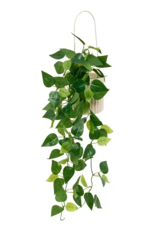Offre Limitée Plante artificielle suspendu(e) "Pool"