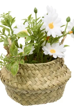 Offre Spéciale Composition florale "Tifi"