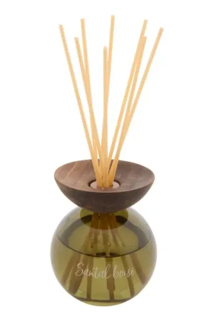 Diffuseur "Rita" Offre Du Jour