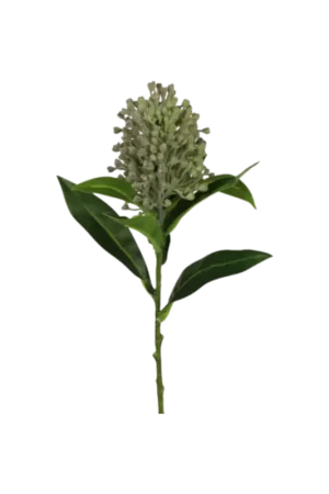 Prix Promo Tige Photinia verte 12"