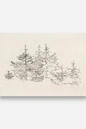 Forêt de Demain Petit Prix