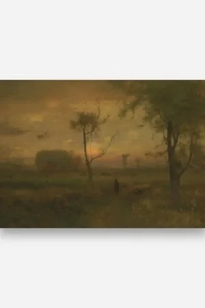 Meilleure Vente Soleil de Namibie