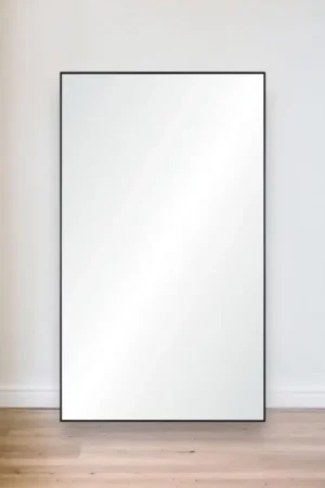 Commander Vite FENCY Miroir