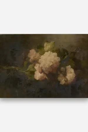 Réduction PEONIES