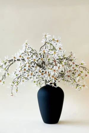 Forsythia Blanc Prix Bas