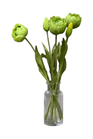 Acheter Direct Tulipes Vertes 18''