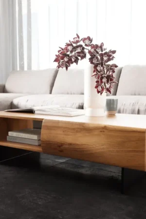 Nouvelle Collection Table-basseNew Live-Edge 115x60 cm acacia naturel 2 tiroirs 1 compartiment pied flottant métal noir