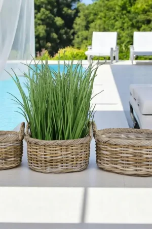 Cache-pot bas en rotin (lot de 2) Acheter Direct