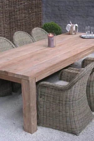 Table de jardin Darwin Emob - Teck recyclé 300x110 cm - Brun Marque