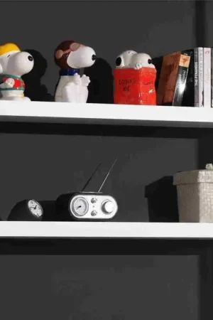 Vente Flash Etagères Robin