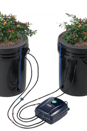 Acheter En Ligne LIQUIDATION VEVOR Système de Culture Hydroponique DWC, Kit Goutte à Goutte Supérieur, Culture en Eau Profonde 20 L 2 Seaux, avec Pompe à Air, Pierres à Air, Dispositif de Niveau d'Eau, pour Légumes à Feuilles